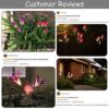 Solar Lights Outdoor - New Upgraded Solar Garden Lights, Multi-Color Changing Lily Solar Flower Lights for Patio,Yard Decoration, Bigger Flower and Wider Solar Panel (2 Pack,Purple and Red)