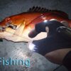 ThxToms LED Flashlights Gloves, Men/Women Tool Gadgets Gifts for Handyman, Fishing, Repair, 1 Pair